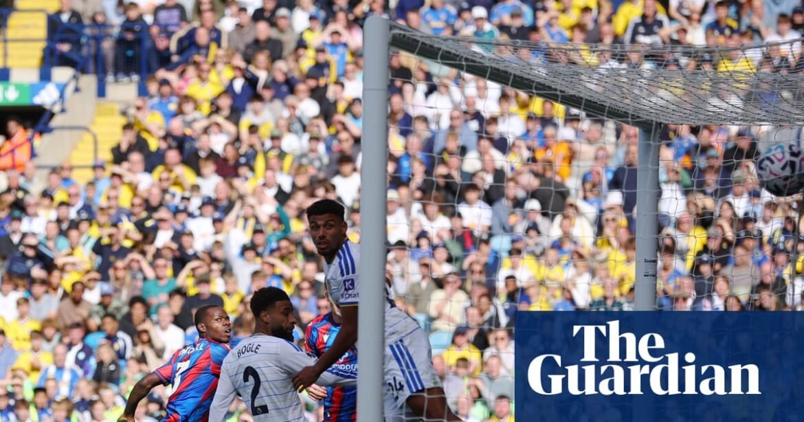 ‘Mixed emotions’ for Farke as Leeds stay unbeaten with Crystal Palace stalemate | Premier League