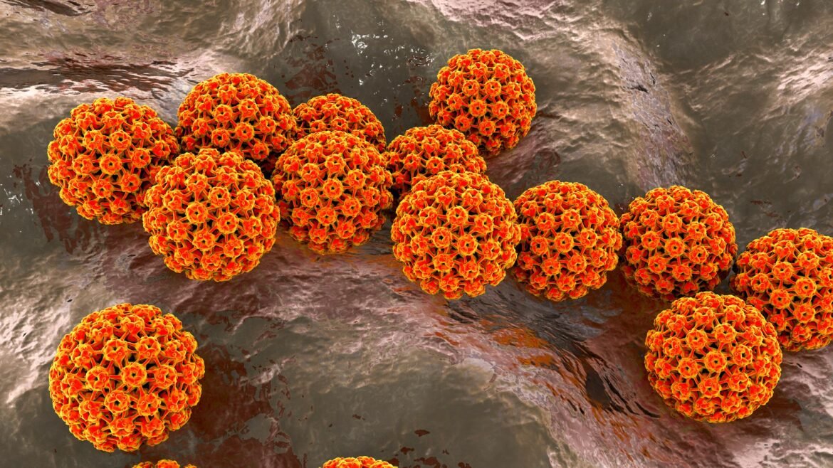 1 in 8 cancer cases are caused by infections, global study finds