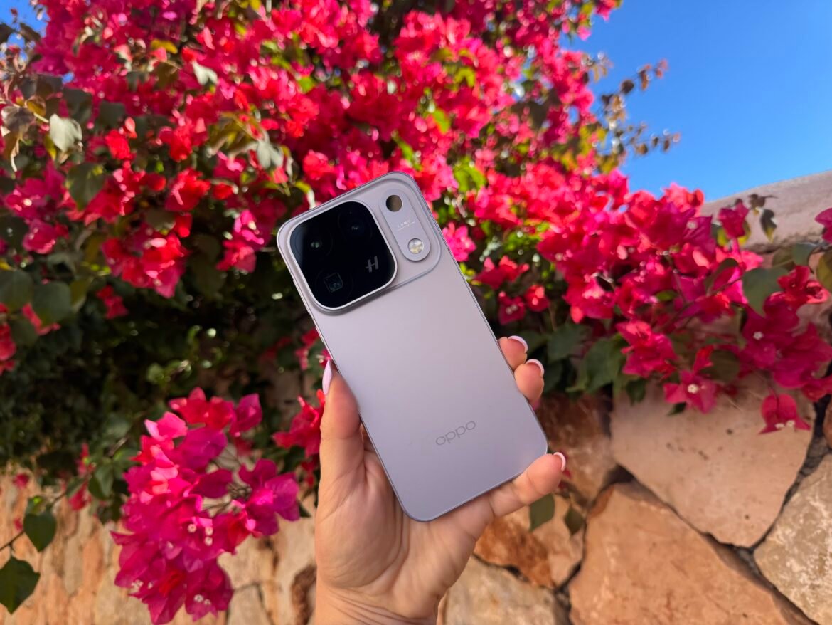 Oppo phone held in front of a bush of red flowers