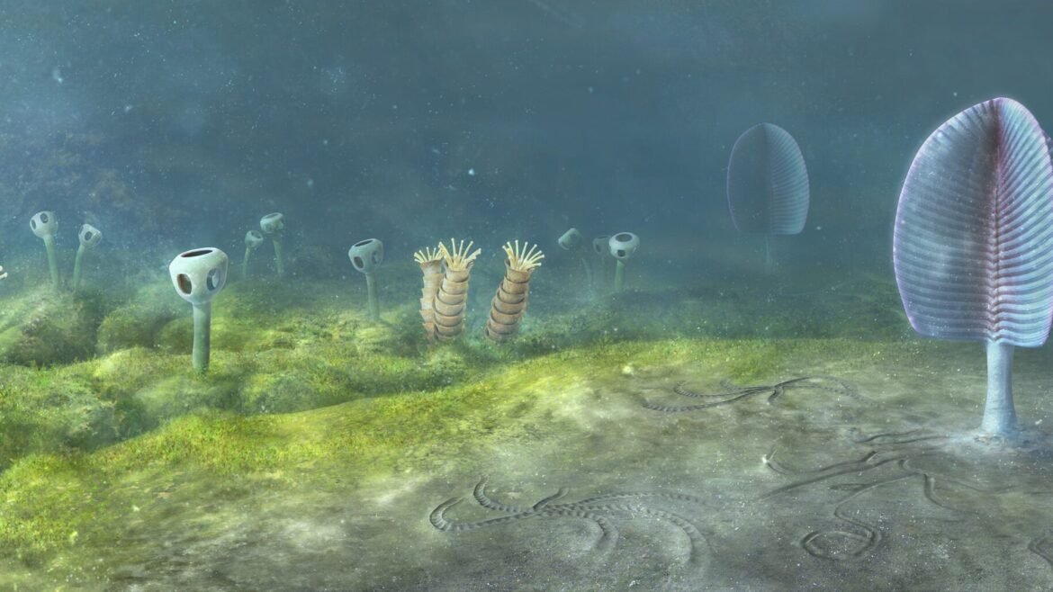 Animals may have evolved 200 million years earlier than previously thought, new study suggests