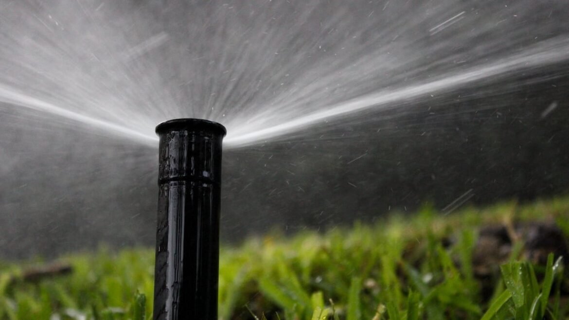 Check your sprinkler. A mistake could cost you $100 in Temple Terrace