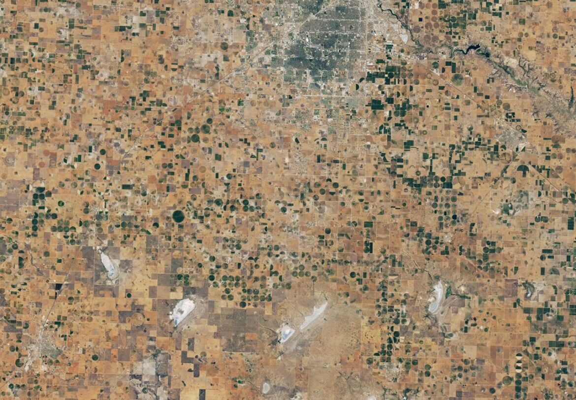 Fighting Drought in Texas Cotton Country