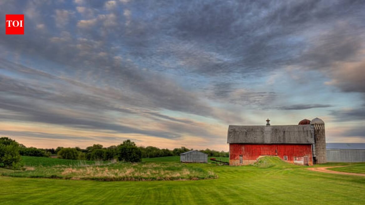 In 1982, a Minnesota farmer wrote a will leaving his 300-acre farm to his son after his wife's lifetime; a different 1989 will later emerged, and a 2026 appeals court reversed the reopening of his estate