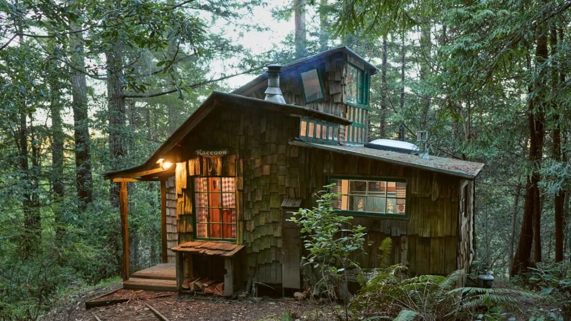 Inside the Last of Northern California's Hand-Built Hippie Homes