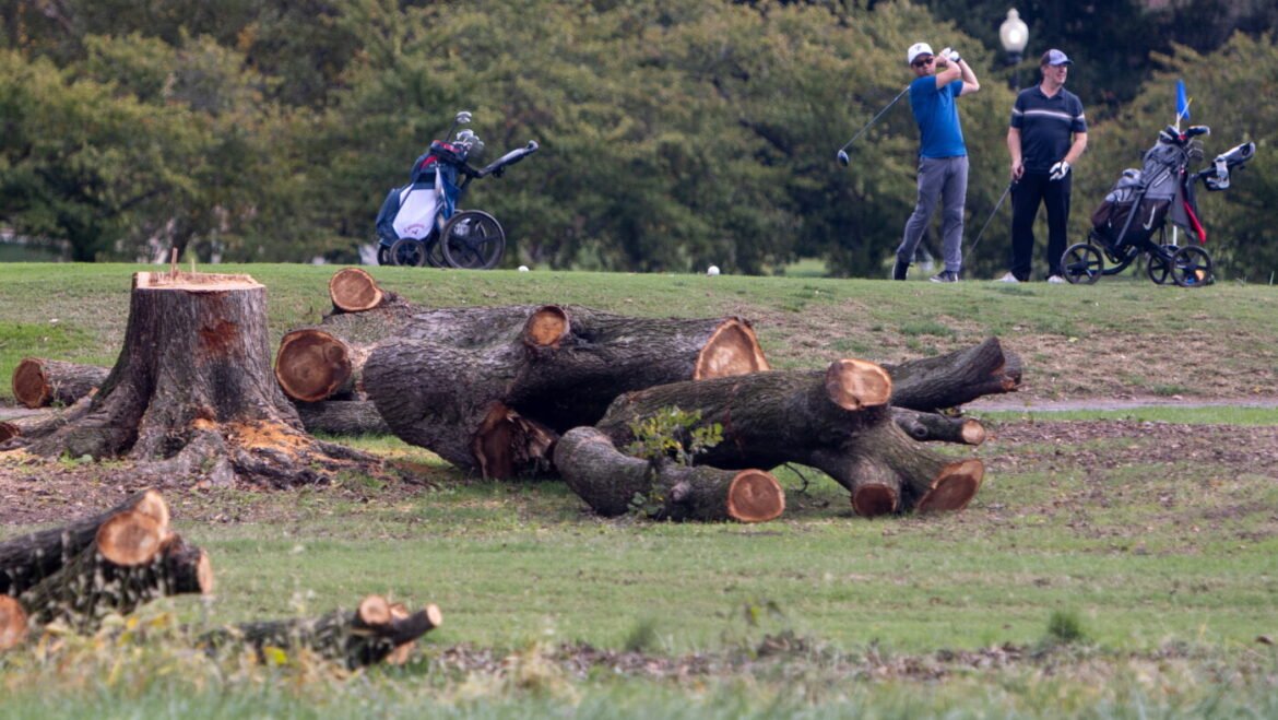 Judge blocks Trump's East Potomac Golf Course tree clearing : NPR