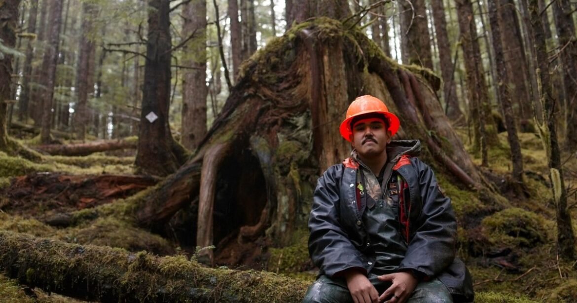 Logging Took Trees the Bears Called Home, so the Haida Nation Built Them New Dens – Mother Jones