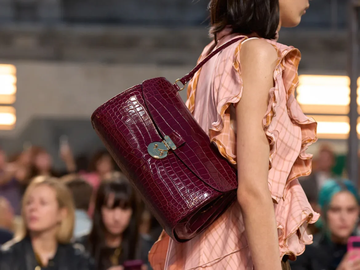 Louis Vuitton Spring 2027 Bags 13