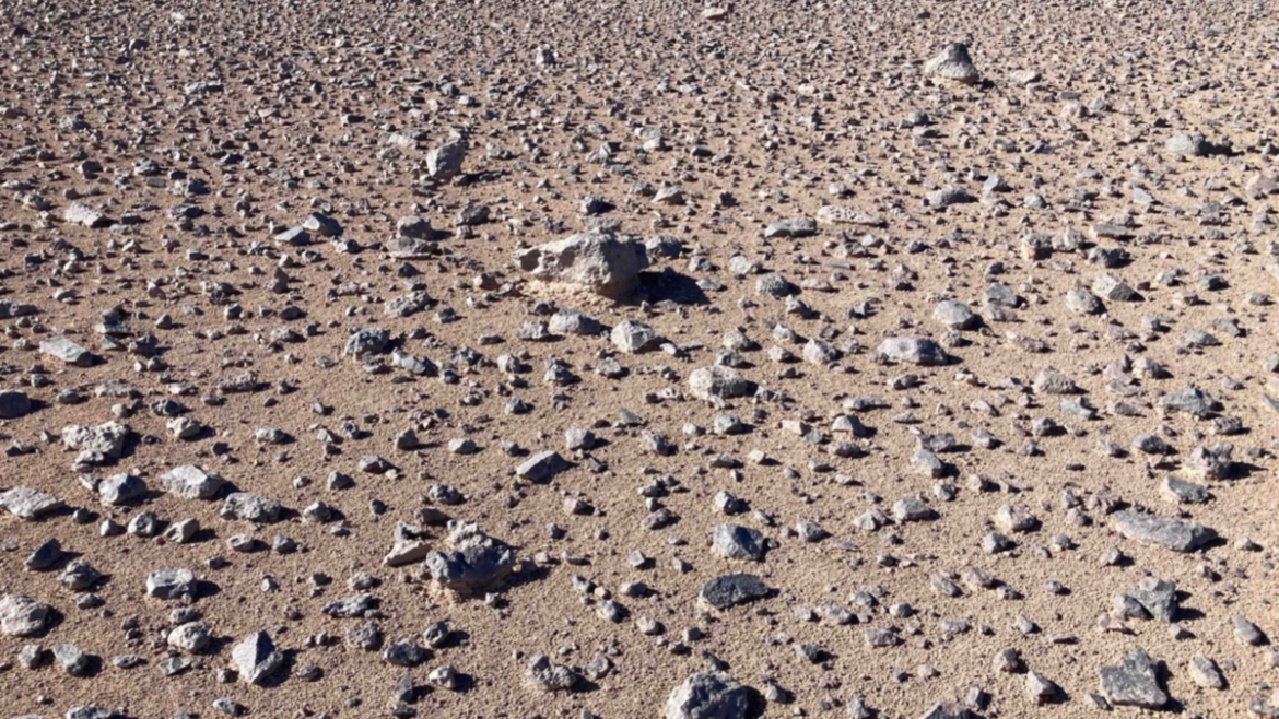 New Electrical Test Can Help Identify Signs of Extraterrestrial Life in Space : ScienceAlert
