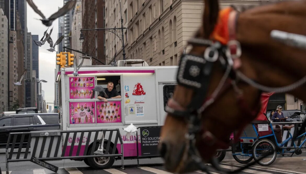 New York City votes to end century-old horse-drawn carriage industry