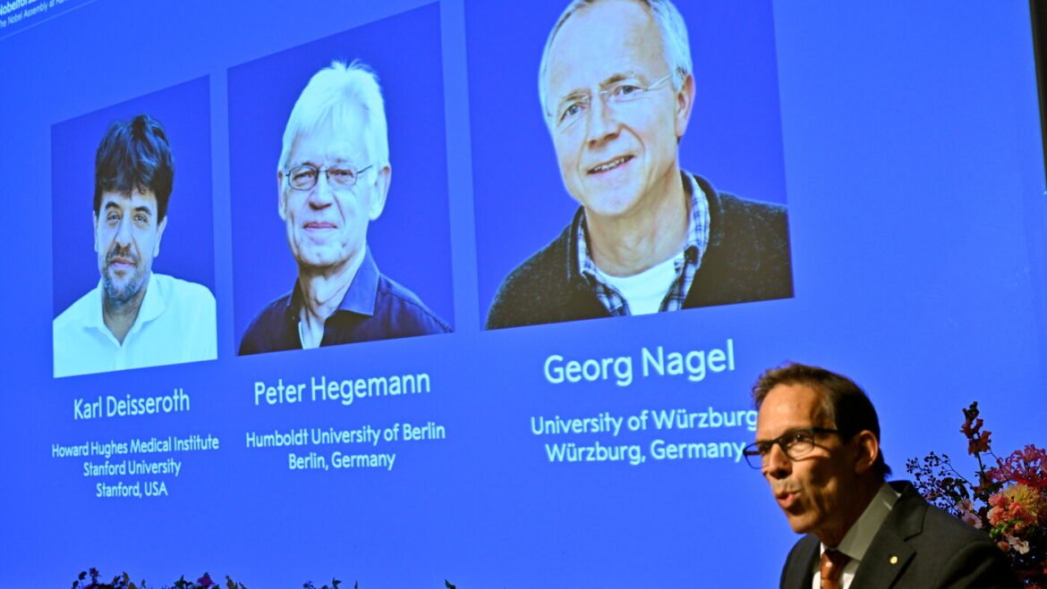 Nobel medicine prize goes to 3 scientists for research into brain activity : NPR