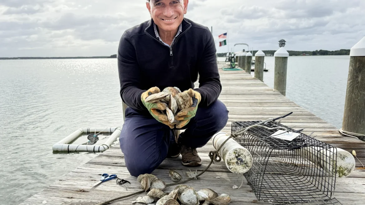 Oyster stocks have plunged in the Chesapeake. This resident wants to bring them back : NPR