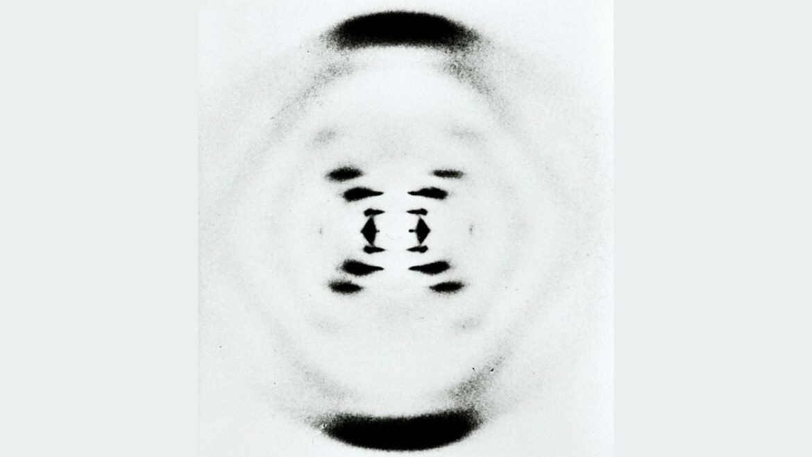 A black and white image with a series of dark dots.