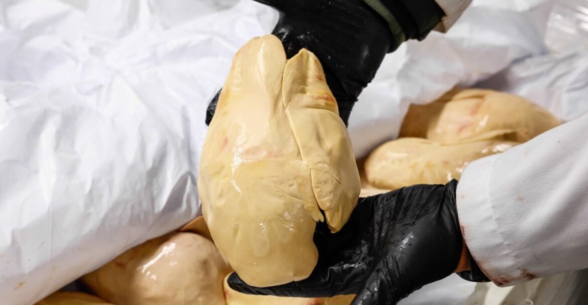 Should foie gras be illegal for animal cruelty?