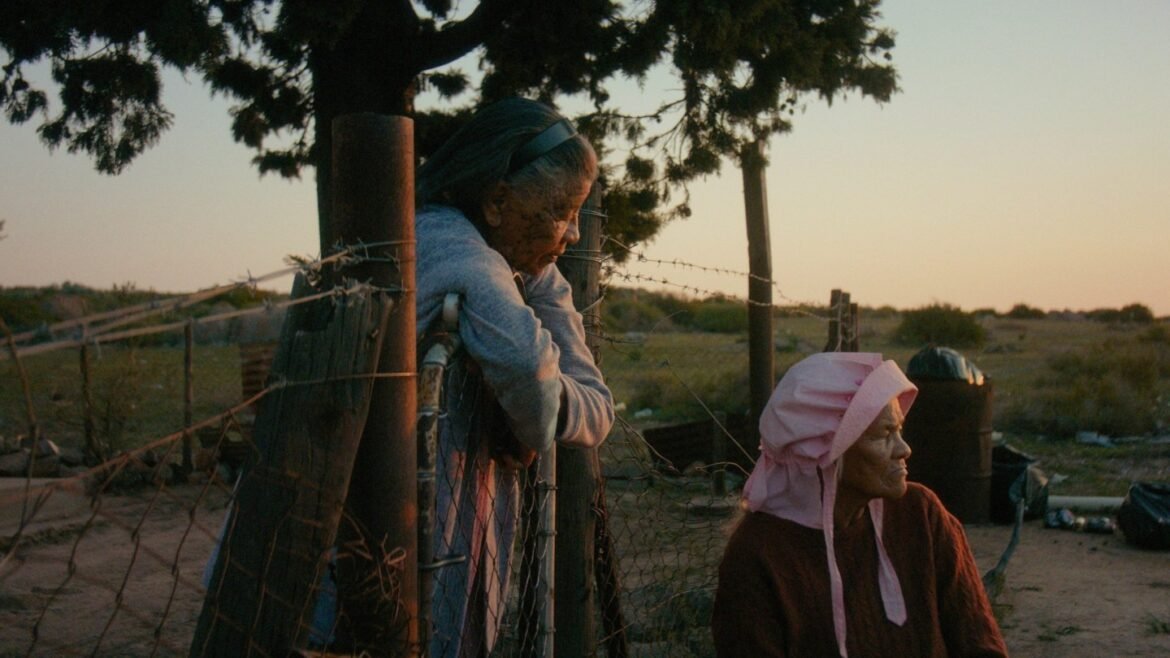 South Africa Film Variations on a Theme Written on Excel