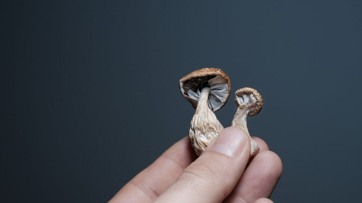 Study hints at psychedelics’ potential to combat inflammation : NPR