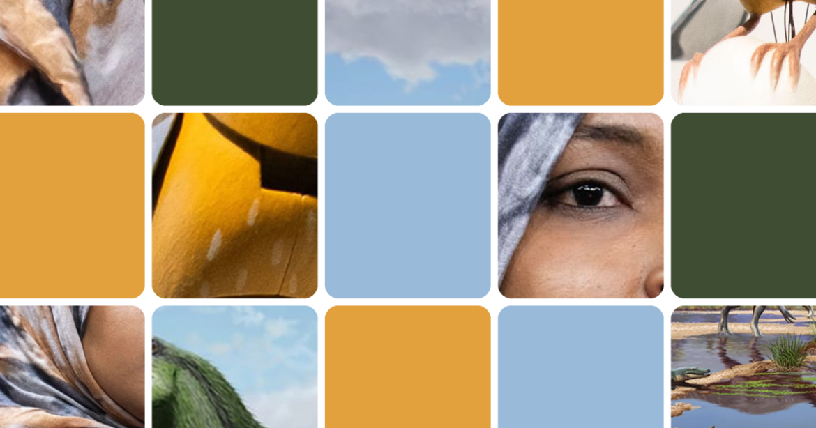 The pope goes under the knife, and a new dinosaur species is discovered: The news quiz