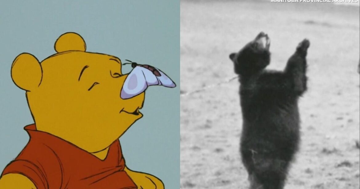 The real story behind Winnie the Pooh, born in the shadow of WWI
