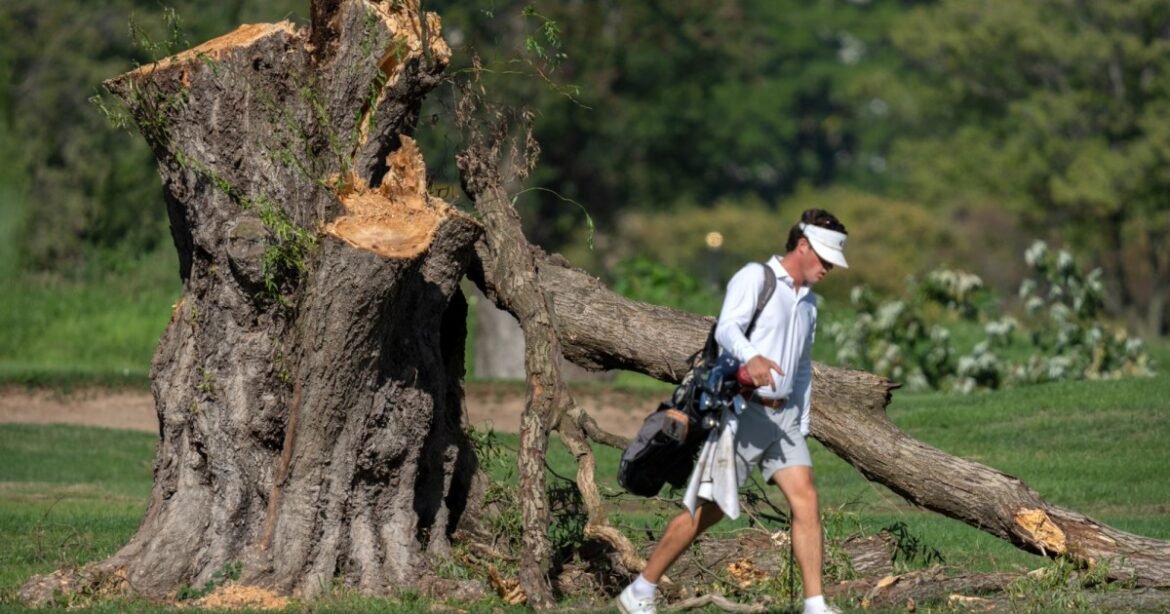 Trump Plows Forward With Plan to Build the Golf Course of His Dreams in DC – Mother Jones
