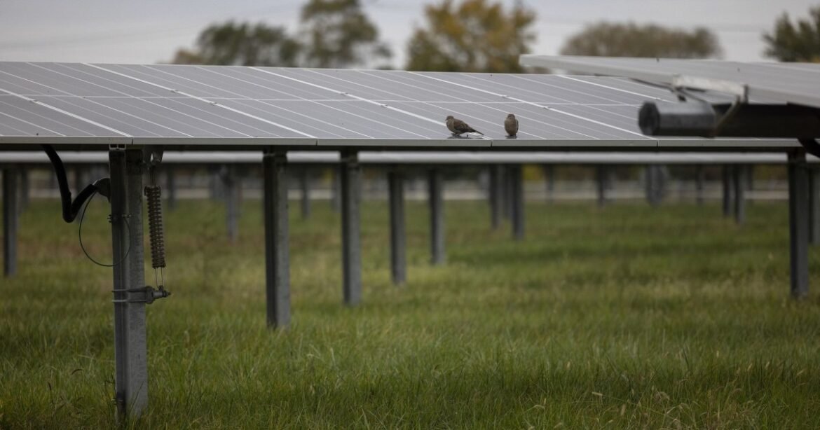Trump Tried to Defund Them, But Green Banks Keep Financing Clean Energy Projects – Mother Jones