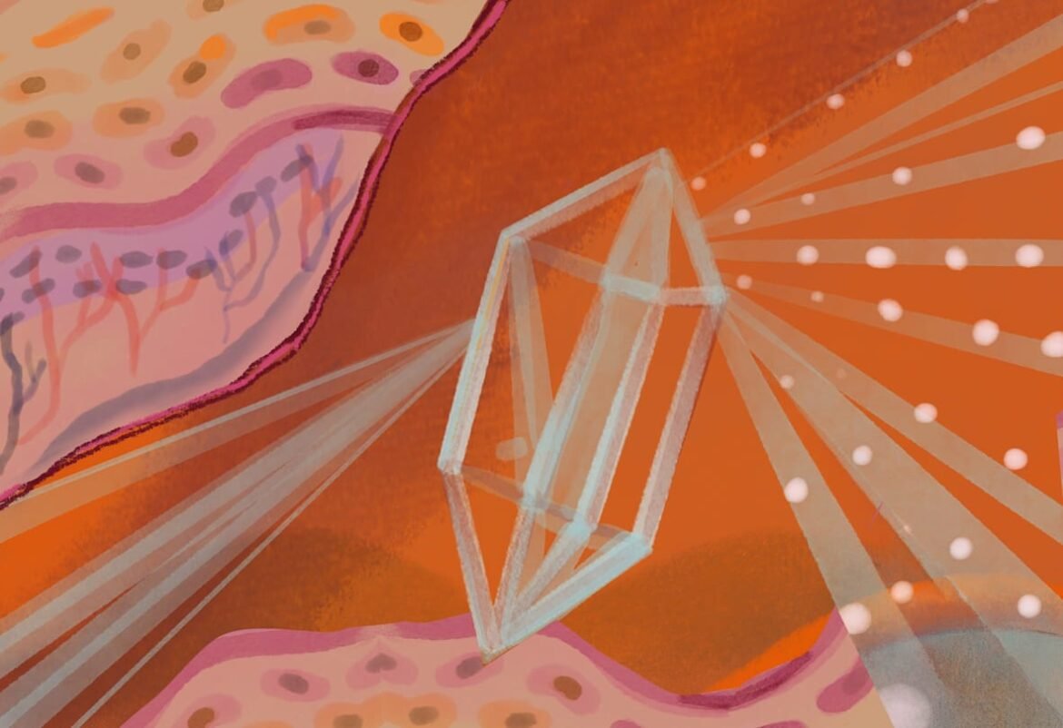 Turning Biology into Better Skin Care | News