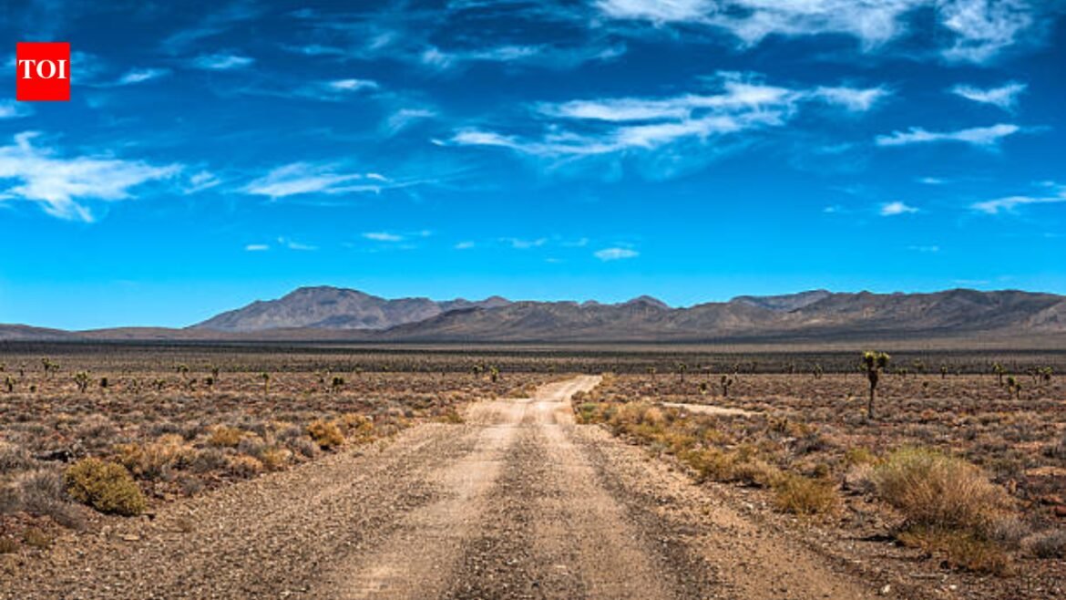 Two Arizona brothers, aged 10 and 12, vanished into the desert; trackers followed more than 6 miles of footprints before a helicopter-assisted search found them safe after eight hours