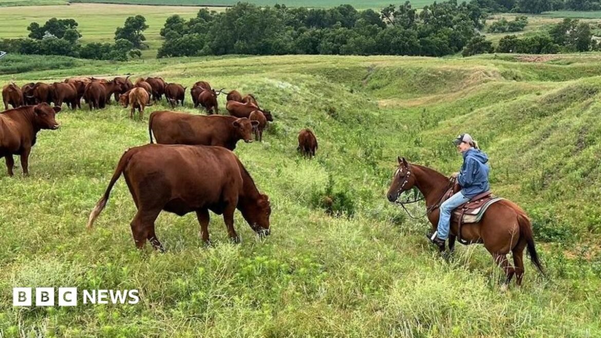 Yvette Mannon rides her horse on her ranch amidst her cattle grazing