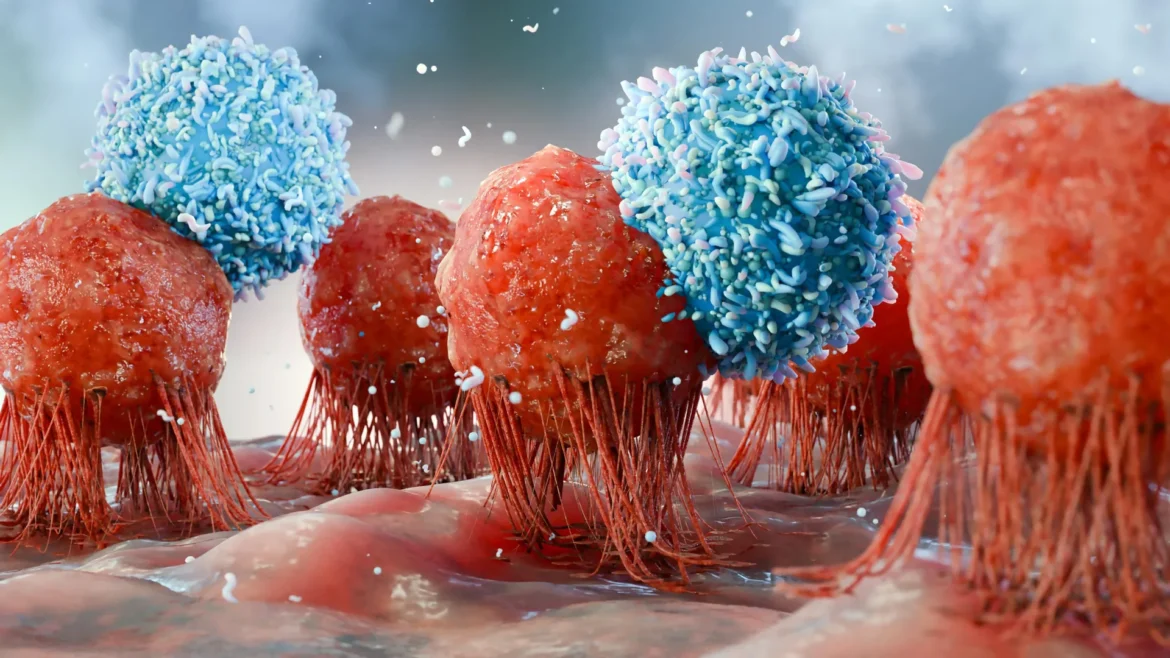 USC scientists discover how to create a never-ending supply of cancer-fighting cells