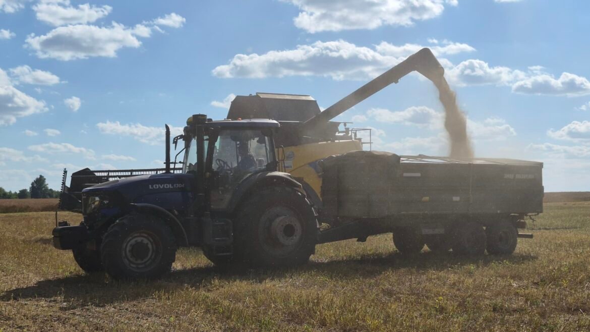 Ukraine and Russia's grain harvest under threat amid Black sea attacks