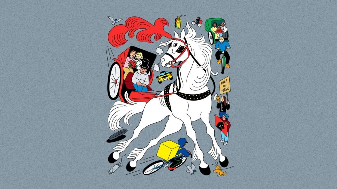 Year of the Horse | The New Yorker
